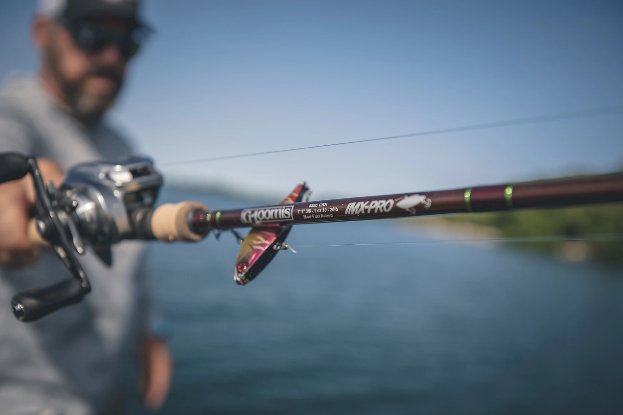 Roofvis Winkel -Roofvis Winkel 261995838 5240307825985011 9206798799881204148 n