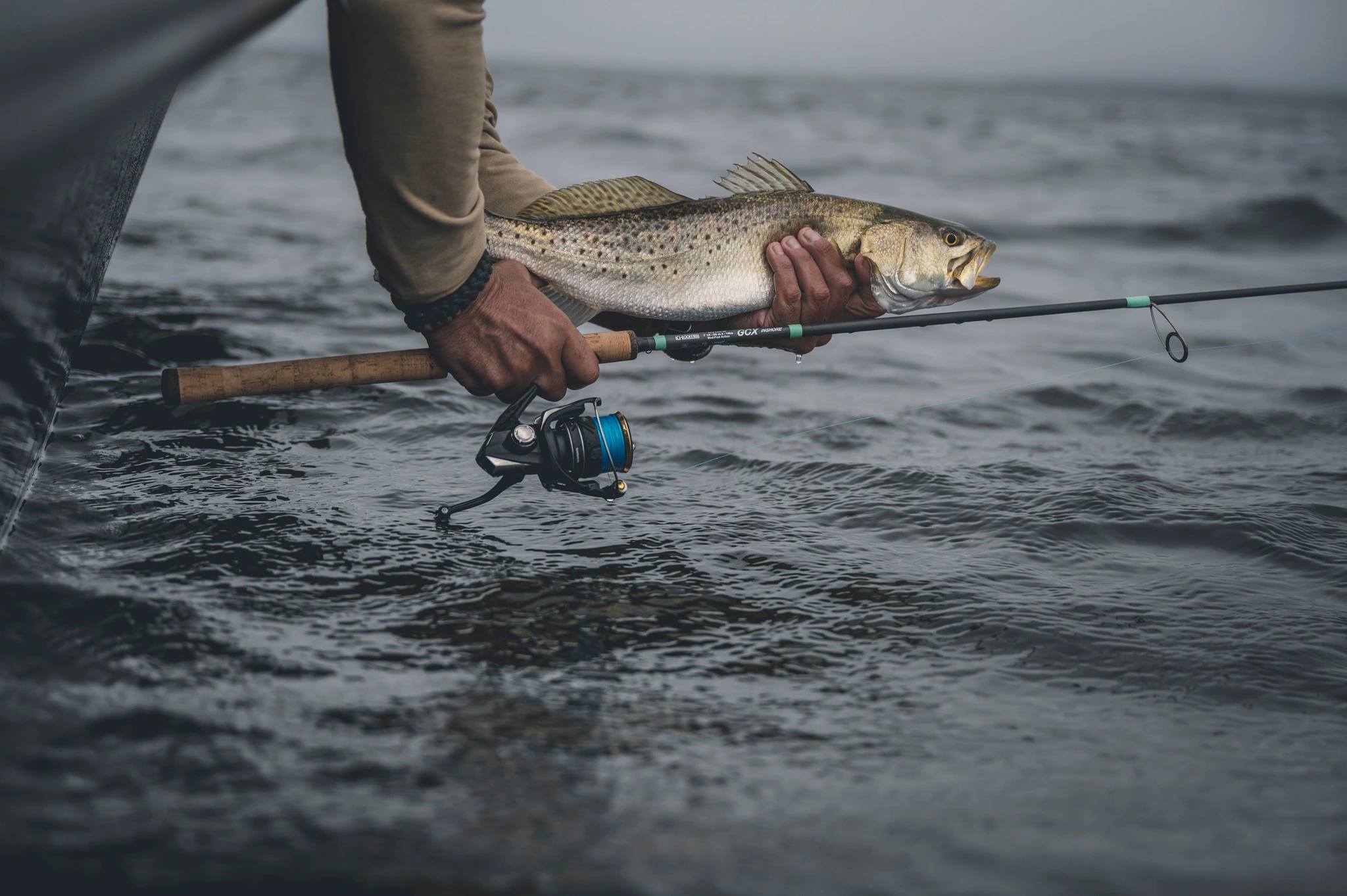 Roofvis Winkel -Roofvis Winkel 275082073 5569247206424403 7703969921319767773 n