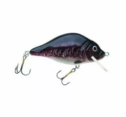 HESTER Carp -Roofvis Winkel hester hester carp 1