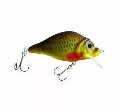 HESTER Carp -Roofvis Winkel hester hester carp 2