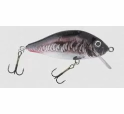 HESTER Prussian Carp